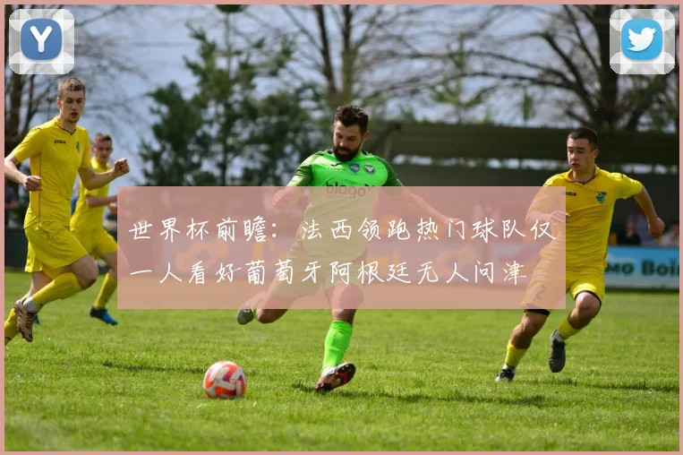 世界杯前瞻：法西领跑热门球队仅一人看好葡萄牙阿根廷无人问津