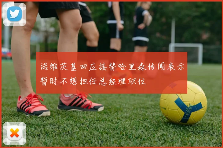 诺维茨基回应接替哈里森传闻表示暂时不想担任总经理职位